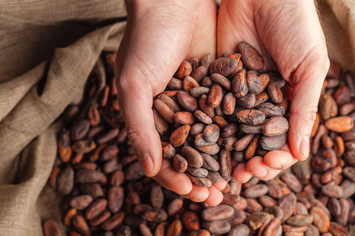 hạt cacao