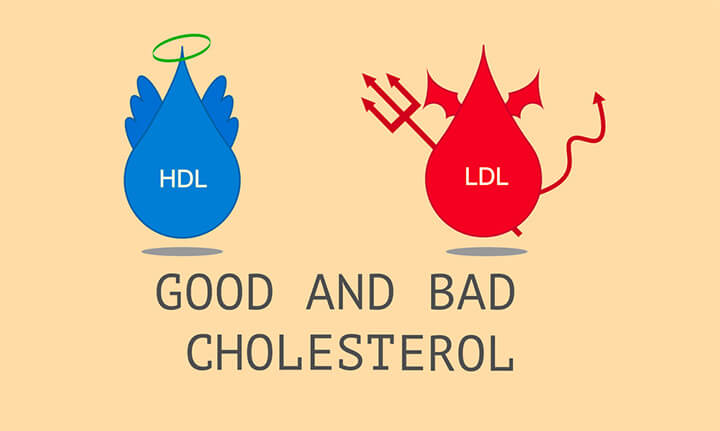 phan loai cholesterol