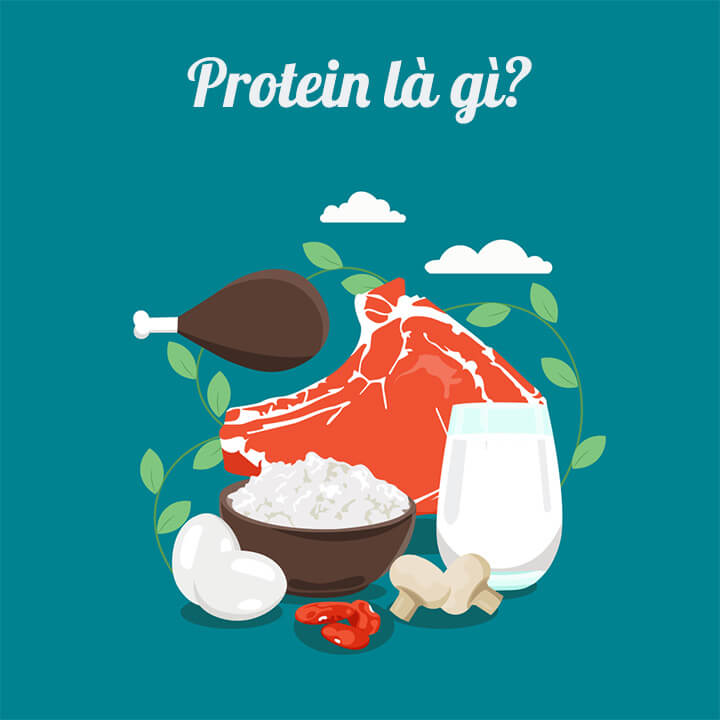 protein la gi