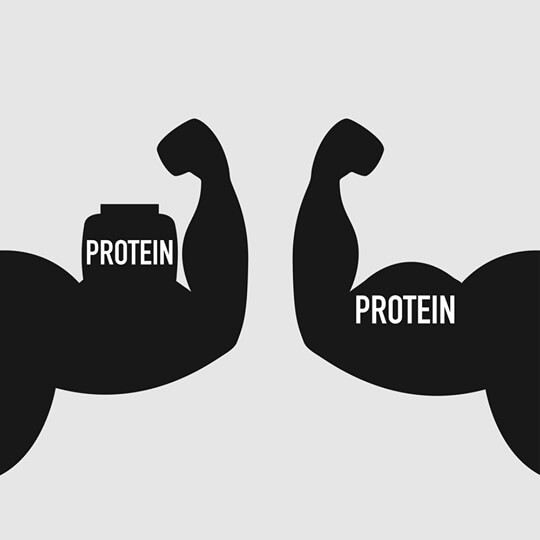 protein co o dau